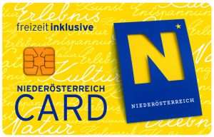 logo-noe-card
